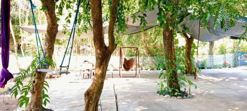 a swing in the middle of some trees at PINOY YOGA POLE PIYOPO LA UNION fan kubo 4 pax in Rimus