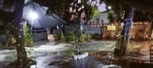 a courtyard at night with trees and lights at PINOY YOGA POLE PIYOPO LA UNION fan kubo 4 pax in Rimus