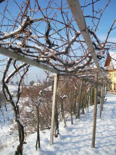 a row of trees are covered in snow at Brunnsteffl - Ferienhaus Lindner in Sankt Andrä-Höch