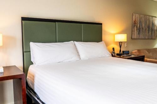 a bedroom with a large white bed with a green headboard at SKKY Hotel in Whitehorse