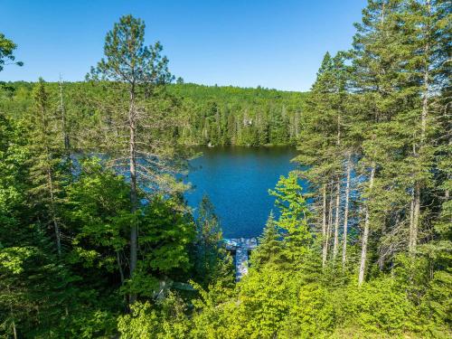 an aerial view of a lake in the woods at Spa pool Private Lake - Chalet Hello in Saint-Alphonse-Rodriguez