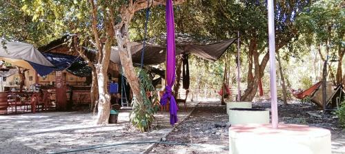 a group of trees with umbrellas hanging from them at PINOY YOGA POLE PIYOPO LA UNION fan kubo 4 pax in Rimus