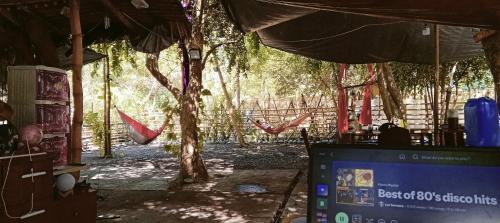 a tent with hammocks and a fence and trees at PINOY YOGA POLE PIYOPO LA UNION fan kubo 4 pax in Rimus