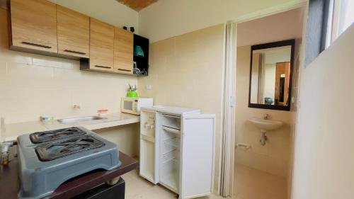 eine kleine Küche mit Herd und Spüle in der Unterkunft La Mesa - Manzanares in La Mesa