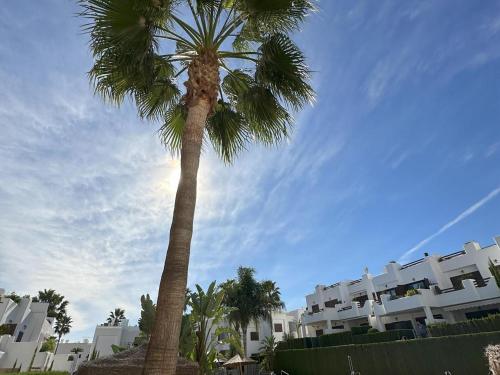 a palm tree in front of a building at Apartamento acogedor a 200m de la playa con jardín comunitario - ES-376-10 in Pulpí