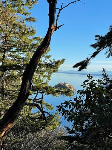 a view of the ocean through the trees at Cokely Cove Guesthouse - Oceanside Villa in Denman Island