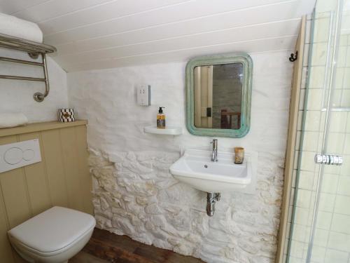a bathroom with a sink and a toilet and a mirror at Dolwylan Barn in Llandysul