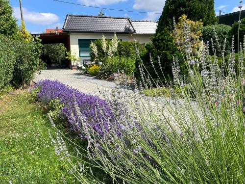 a garden with purple flowers in front of a house at Ferienhaus Amare mit Fasssauna, eigener Terrasse & Kamin in Bautzen