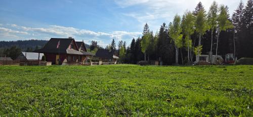 a large field of green grass next to a cabin at Babiogórskie Domki in Lipnica Wielka