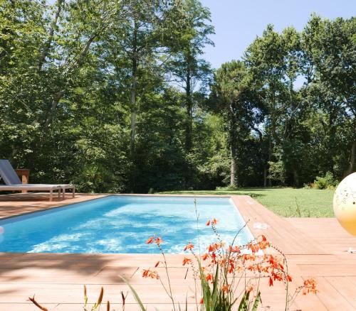 a swimming pool in a yard with trees at La Maison Boisée - Welkeys in Orx
