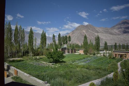 a view of a field with mountains in the background at Nubra Ecolodge in Liekzan