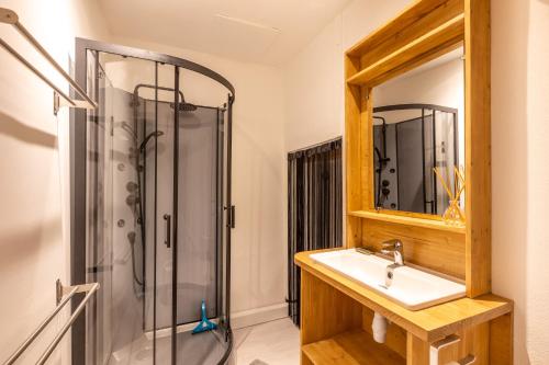 un baño con lavabo y ducha en Le Pin de Sucre - Proche Frontière Espagne, en Latour-de-Carol