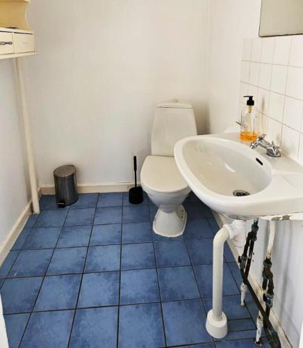 a bathroom with a toilet and a sink at Large House with Two Apartments in Central Skarhamn in Skärhamn