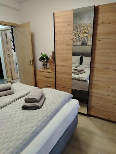 a bedroom with two beds and a large mirror at Apartman Amber Vrnjačka Banja in Vrnjci