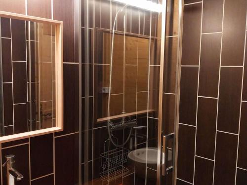 une salle de bain avec douche, toilettes et miroir dans l'établissement Charmant 2 pièces pour 5 pers, au pied des pistes, 24m², Vieil Alpe, Alpe d'Huez - FR-1-405-217, à Huez