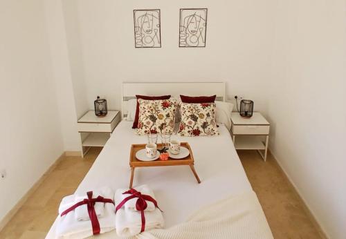 -MalagaSunApts- City Centre SharedTerrace