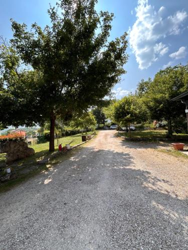 a tree on the side of a gravel road at Bed and Breakfast Agriturismo La Palombara 