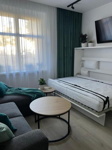 a living room with a bed and a couch at Zielono Mi in Szczecin