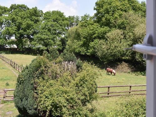a horse grazing in a field next to a fence at Oakdene Lodge in Saint Leonards