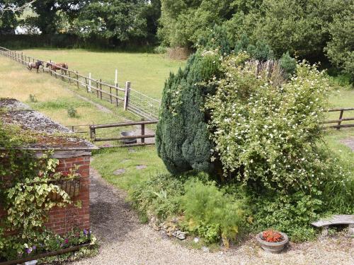 a large bush in front of a fence with a tree at Oakdene Lodge in Saint Leonards