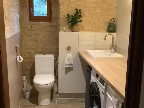 a small bathroom with a toilet and a sink at Gîte en Périgord avec piscine privée, animaux acceptés - FR-1-616-494 in Florimont-Gaumiers