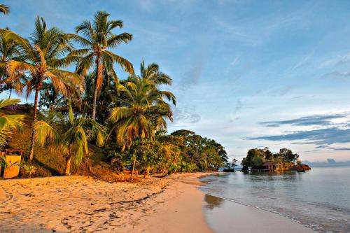 a sandy beach with palm trees and the ocean at Popa Paradise Beach Resort in Buena Vista