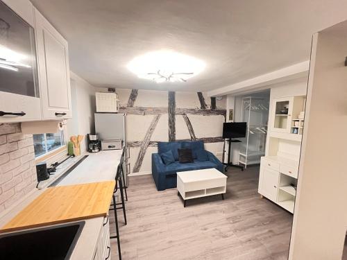 a living room with a blue couch in a room at 1-Raum Ferienwohnung in Erfurt
