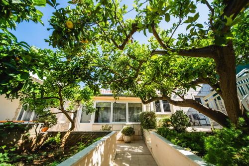 a house with trees in front of it at Apartments Barbaresko in Lumbarda