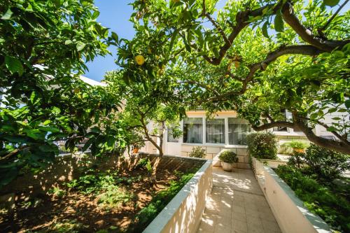 a house with a tree in front of it at Apartments Barbaresko in Lumbarda