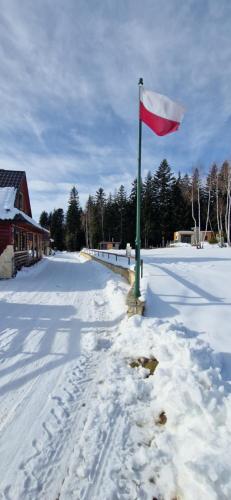 a red flag on a pole in the snow at Babiogórskie Domki in Lipnica Wielka