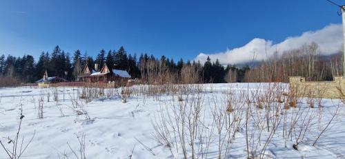 a snow covered field with houses in the background at Babiogórskie Domki in Lipnica Wielka