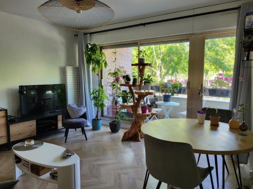 Μια τηλεόραση ή/και κέντρο ψυχαγωγίας στο Une chambre au calme - Réservée aux femmes