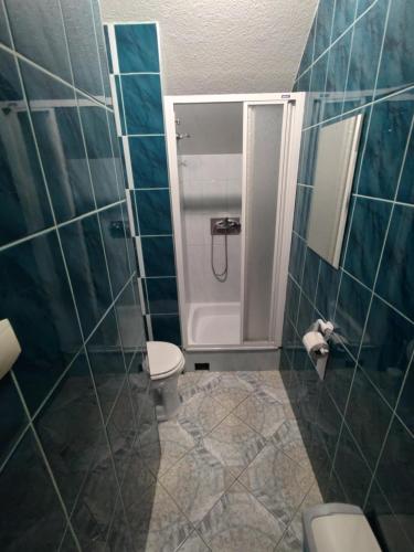 a bathroom with a toilet and a shower with blue tiles at Willa Solna in Kołobrzeg