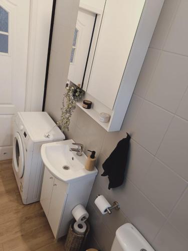 a bathroom with a sink and a toilet and a mirror at Pod orzechem in Osieki