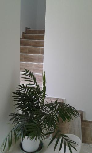 a plant sitting on a table next to a staircase at Atanasovata Kashta in Govedartsi