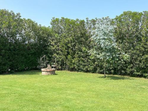 a field of grass with a bucket in the middle at Casa de Campo con Piscina, BBQ y Naturaleza Cañete in Imperial