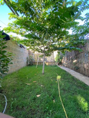 a tree in a yard next to a fence at Moivaro Eco Hostel in Nkunjila
