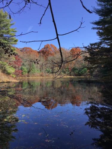 a view of a river with trees reflecting in the water at 597) Sleeps 12 - Pool - Grill in Wolcott