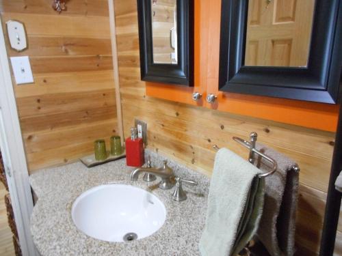 a bathroom with a sink and a mirror at Castel d'Amérique Française in Quebec City