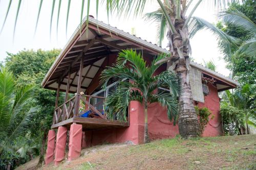 a person sitting on a balcony of a house next to a palm tree at Popa Paradise Beach Resort in Buena Vista