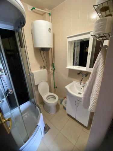 a bathroom with a shower and a toilet and a sink at Bigova Peace Oasis in Bigovo