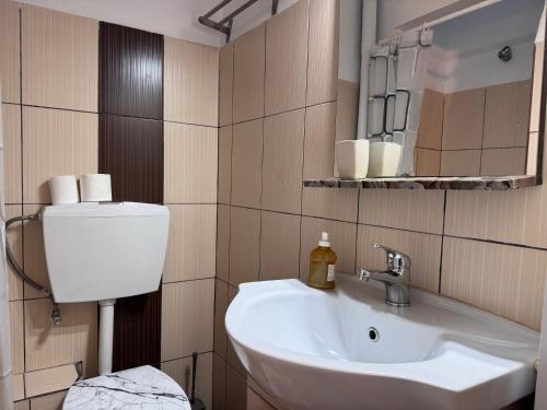 a bathroom with a white sink and a mirror at Mina Apartments in Poros