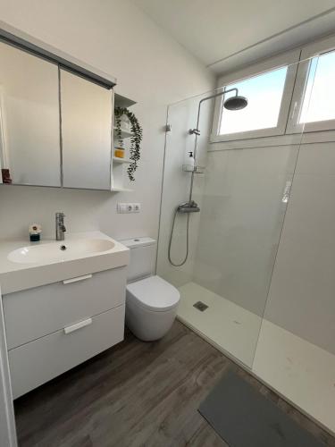 a bathroom with a toilet and a sink and a shower at Apartamento Solpor in A Guarda