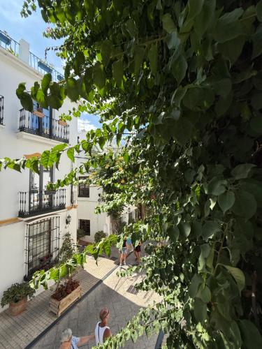 people walking in the courtyard of a building at La Clé Boutique Hotel Old Town Marbella in Marbella