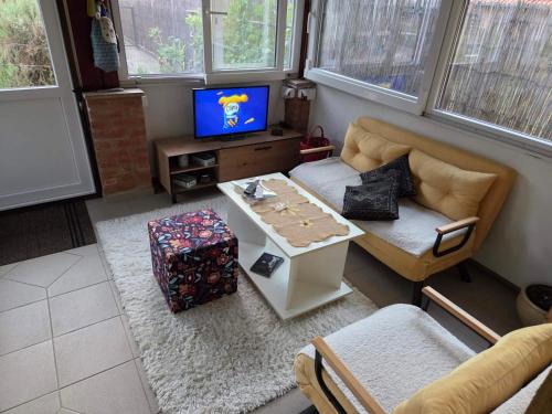 Una sala de estar con un sofá, una mesa y un televisor. en Mate, en Banja Koviljača