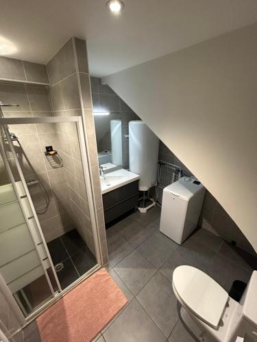 une salle de bain avec une douche, des toilettes et un lavabo dans l'établissement Nid douillet proche île de ré, à La Rochelle