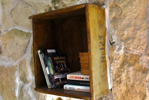 a book shelf with books in a stone wall at Conăcel între Vulcani 