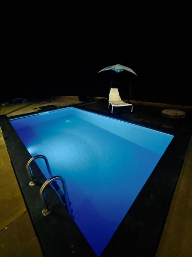 Πισίνα στο ή κοντά στο The Alpine Poolhouse