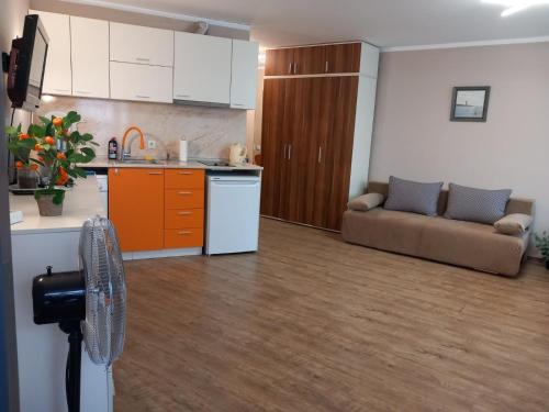 Силви Съни Бийч Плазаにあるキッチンまたは簡易キッチン