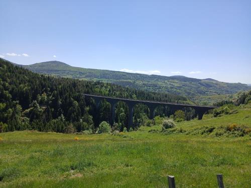 a bridge in the middle of a green field at Gîte 6 personnes en pleine nature jacuzzi, sauna, kota in Laussonne